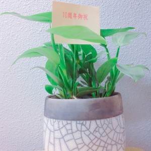１０　Ｙｅａｒs　Ｄｅｅｐ　玉造にある美容室OHANAｎ（オハナ）